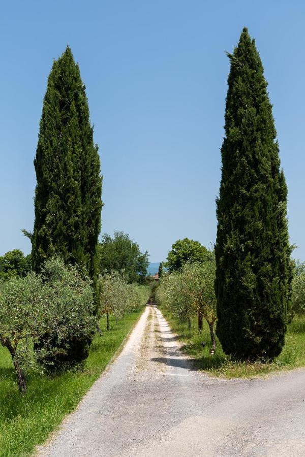 Villa Il Rossignolo Grassina Exterior photo